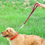 Durable Nylon Dog Leash Heavy Duty Spring Traffic Control Training Short Leashes for Medium Large Dogs Pitbull Pet Accessories
