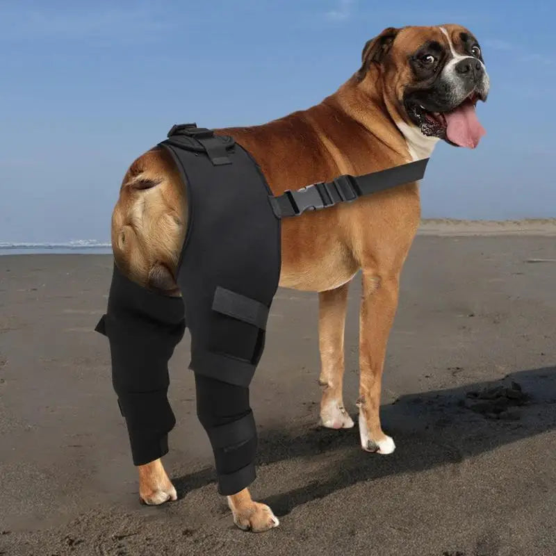 Dog Hip Brace Adjustable Pet Dog Legs Protector Supporter Knee Brace Rear Leg Support Joint Wrap for Pets Legs Recover Supplies