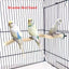Natural Wood Pet Parrot Raw Wood Fork Tree Branch Stand Rack Squirrel Bird Hamster Branch Perches Chew Bite Toys Stick