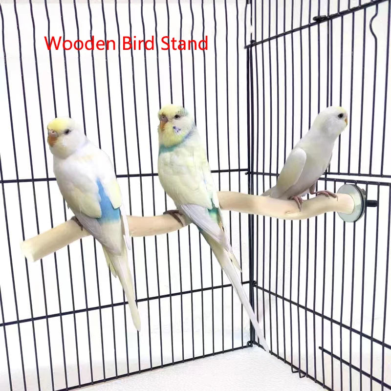 Natural Wood Pet Parrot Raw Wood Fork Tree Branch Stand Rack Squirrel Bird Hamster Branch Perches Chew Bite Toys Stick
