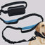 Dog Leash Hands-free With a Waist Bag  Hold Items Harness for Small Breeds Dogs Choker Collar Personalized Nylon Dog Accessories