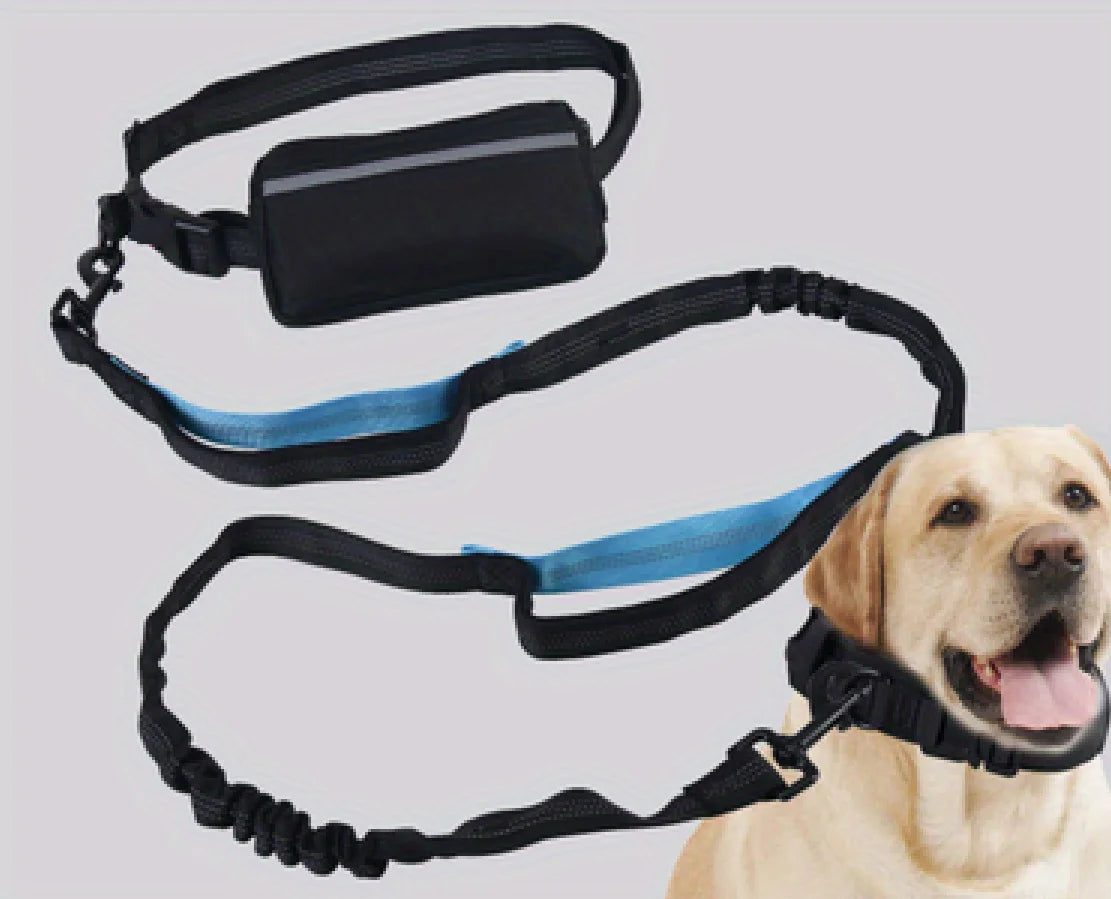Dog Leash Hands-free With a Waist Bag  Hold Items Harness for Small Breeds Dogs Choker Collar Personalized Nylon Dog Accessories