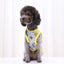 2023 New Classic Stripe Shirt Dog Clothes For Small Dogs Summer Chihuahua Tshirt Cute Puppy Vest Yorkshire Terrier Pet Clothes