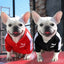 Pet Sports Clothing For Small Medium Dogs Plus Velvet Cats Zipper Leisure Sweater Coat French Bulld