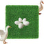 Chicken Coop Bedding Mats Coop Chicken Box Nesting Mat Washable Chicken Bedding For Coop And Laying Boxes Pad Coop Mat For
