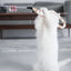 Cat Toy Feather Cat Teaser Wand Cat Interactive Toy Funny Caterpillar Colorful Rod Teaser Wand Pet Cat Supplies Cat Accessory