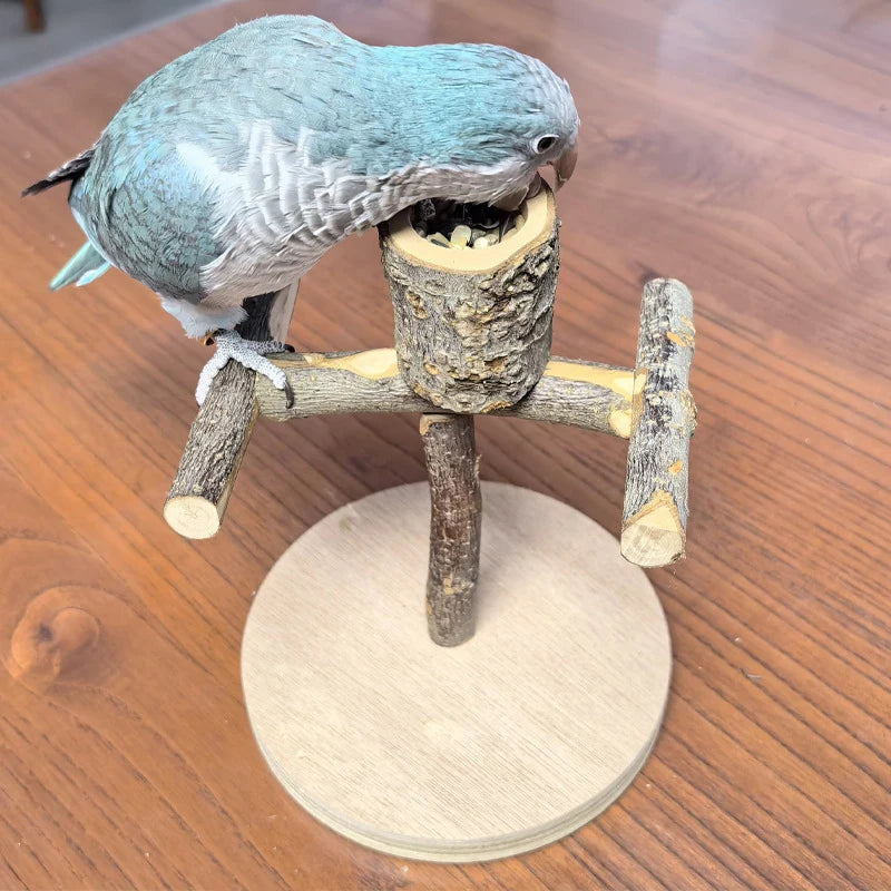 Natural Wood Toy Pet Parrot Raw Wood Stand With wooden feeding bowl Rack Squirrel Bird Hamster Branch Perches Chew Bite Toys
