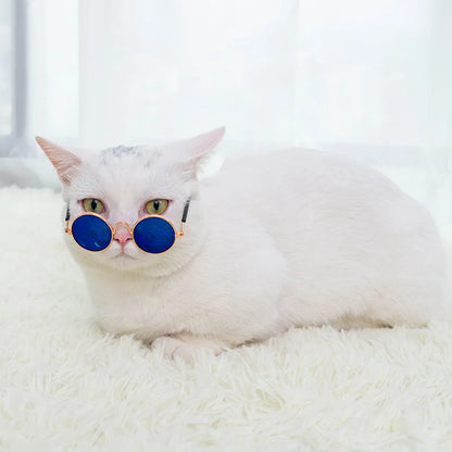 Anti-slip Cat Sunglasses Pet Accessories Small Dog Sun Glasses Classic Retro Circular Glasses for Kitten Photos Props Cosplay