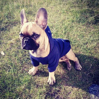 Winter Pet Doggy Clothing Leisure Small Dogs Hoodies Coat for Puppy Soft Warm Cat Dog Sweater Sweatshirt Teddy Chihuahua Clothes