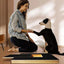 Dog Nail Scratch Board Adjustable Wooden Scratching Board with Built-in Treat Box Dog Nail File Board Self Scratcher Toy