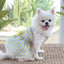 Dog Dresses Girl Puppy Dress Summer Pet Clothes Outfit Apparel Cute Cat Skirt Female Tutu Clothing for French Bulldog Chihuahua