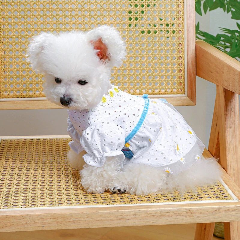 Daisy Embroidery Fancy Dresses for Small Dogs Hollow Veil Princess Party Cat Clothing York Dog New Designer Spring Puppy Clothes