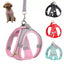 Harness Set For Small Dogs