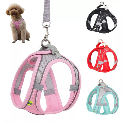 Harness Set For Small Dogs