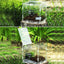Reptile Terrarium Transparent Reptile Breeding Carrier Lightweight Acrylic Large Feeding Tarantula Habitat Box For Small Animals