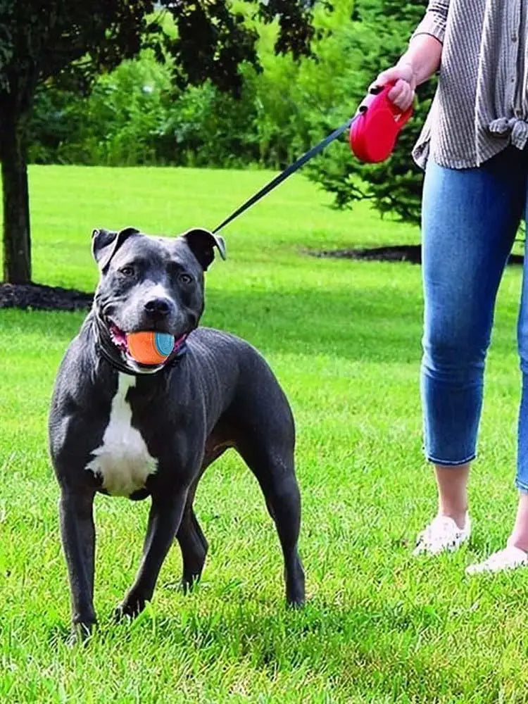 Dogs Interactive Toys Interactive Dog Ball Squeaky Balls Toys Pet Grinding Teeth Toy for Dog Pet Teeth Cleaning Pet Supplies