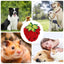 Pet Sniffing Mat Interactive Pet Slow Feeder Mat Pet Forage Mat Slow Feed Mat With Strawberry Shape For Dog Puppy Cat Rabbit