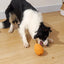 Dog Treat Dispensing Toy Pine Cone Dog Chew Toy Bite Resistant Pet Supplies For Dog Puppy For Treat Dispensing Teeth Cleaning