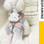 Cute Bear Solid Pet Dog Leash Set Nylon Durable 150cm Harness Collar for Cats Walking Anti Lost Chihuahua York Dog Accessories