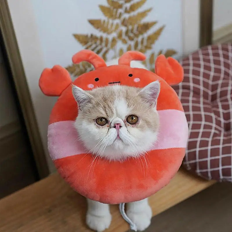 Cat Recovery Collar Stop Licking E Collar For Recovery Adjustable Cat E Collar Surgerys Recovery Elizabethan Collars For Kitten