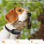 ROJECO Electric Dog Training Collar Digital Rechargeable Remote Control IPX7 Waterproof Vibrator Pet Dog Bark Stop Shock Collar