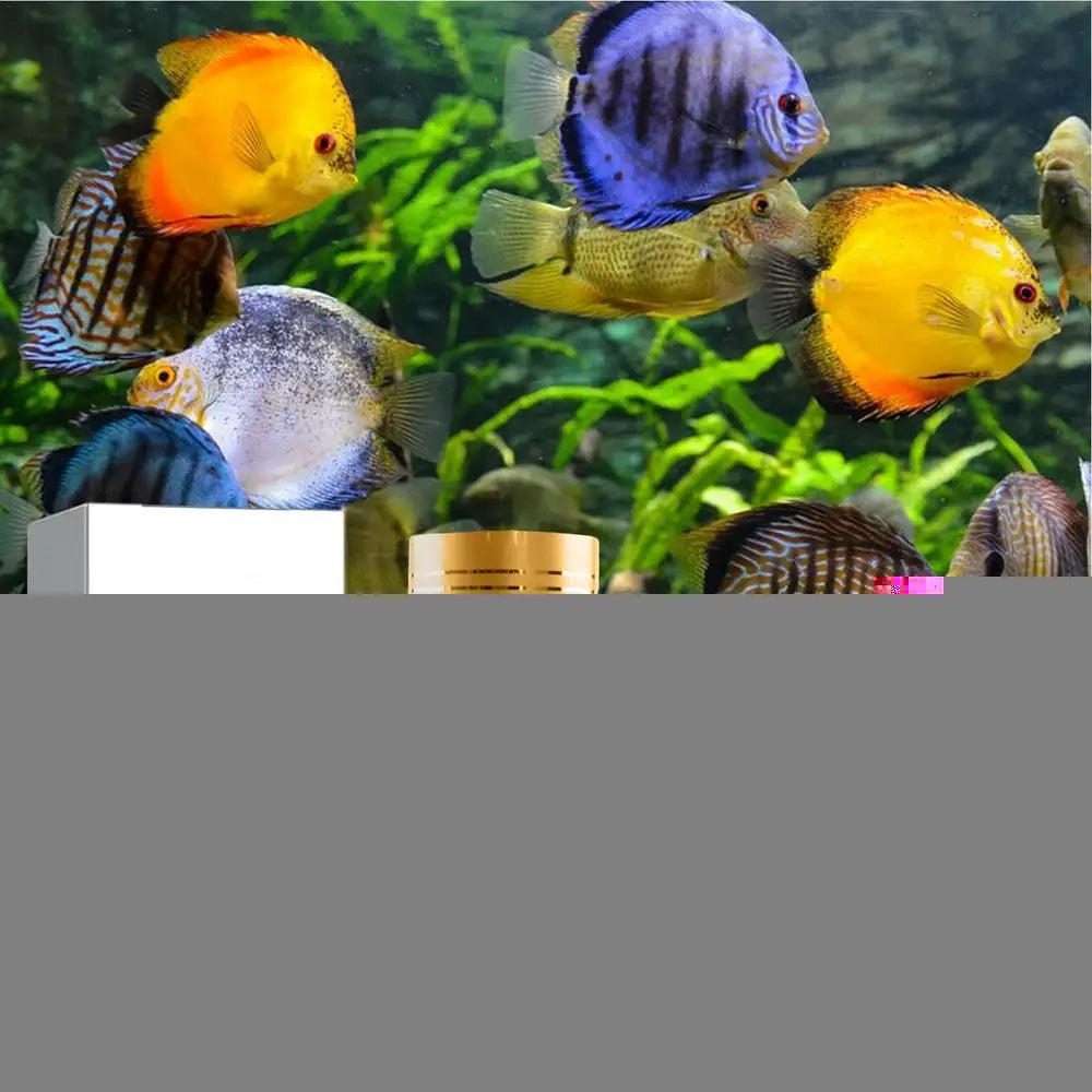 Fish Tank Cleaner Water Purifier And Algae Remover Water Purifier For Freshwater Aquariums Algae Remover For Freshwater