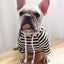 autumn winter fleece pet clothes dog hooded pet parent-child clothing stripe French Teddy small dog cat clothing