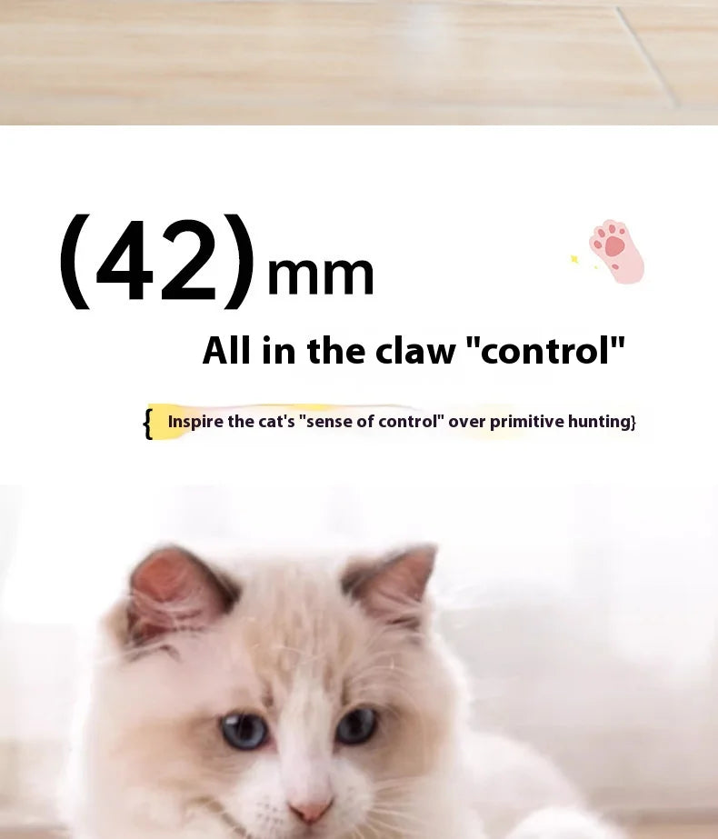 Pet automatic cat teasing ball cat toy for self fun and relaxation, rolling ball pet gravity cat toy