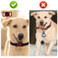 UXCELL 3 Pcs Airtag Case Dog Cat Collar Silicone Tracker Case Protective Case For Apple Air Tag No include GPS