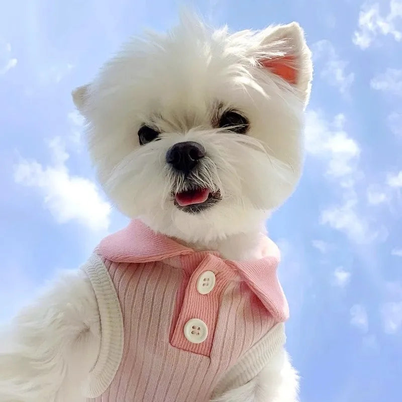 Summer Dog Polo Shirt Puppy Vest Dog Clothes for Small Dogs Cat Dog Cooling Shirt Chihuahua Yorkshire Bichon Girls Dog T-Shirt