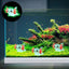 Miniature Axolotl Figures Cute Resin Mini Aquarium Figures In The Dark Durable Axolotl Figurines Small Aquarium
