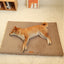 Short Plush Removable Washable Pet Bed, High Elasticity Non-Collapse Dog Bed, Suitable For Small And Medium Dogs and Cats