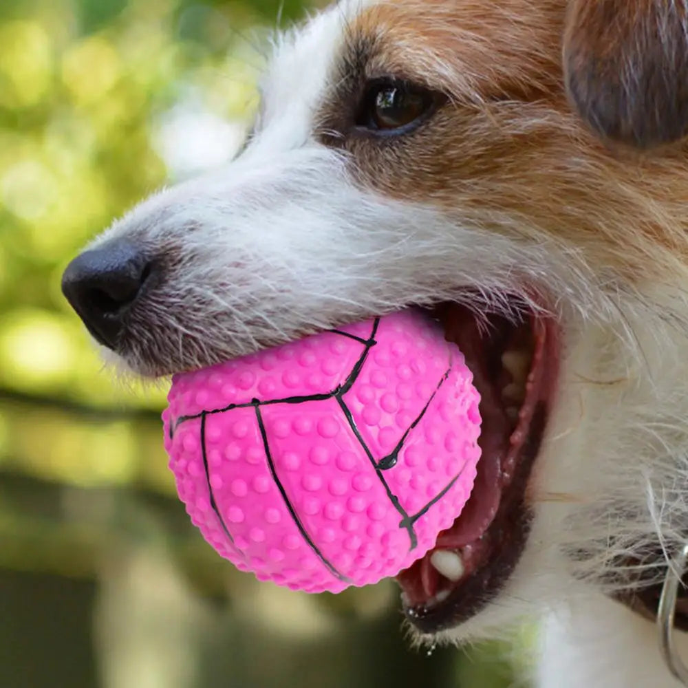 Dog Training Ball Toy Squeaky Treat Ball Interactive Pet Toys Ball Feeder Pet Stimulation Toy Bite-Resistant Puppy Toys
