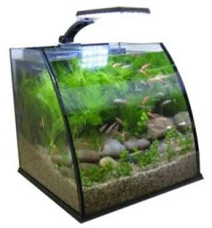 Table Curvedcurved Saltwater Marine Fish Tank Aquarium