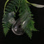 Aquarium Decoration Hanging Fish Tank Mini Crystal Glass Pot Polka Water Potted Planting Cylinder Cup Aquarium Accessories