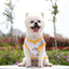 Large dog Summer  Tank Top Outdoor Breathable Short Sleeve Big dog  Pet Teddy cat Clothing T-shirt dog shirt  puppy clothes