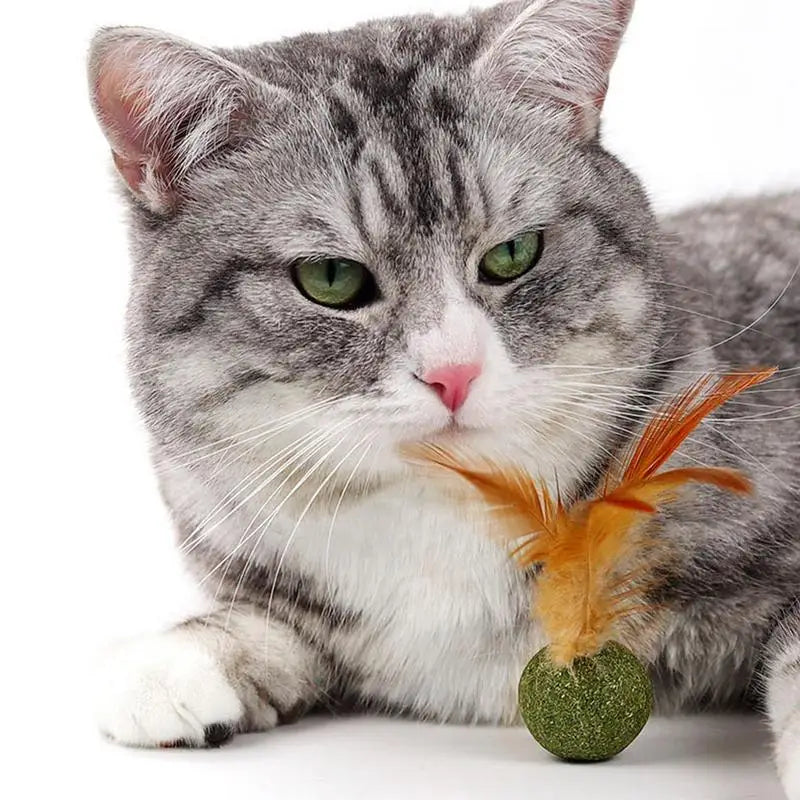 1pcs Catnip Feather Ball Interactive Natural Lollipop for Cat Kitten Toys, Feathers Design Teeth Cleaning Playing Toys