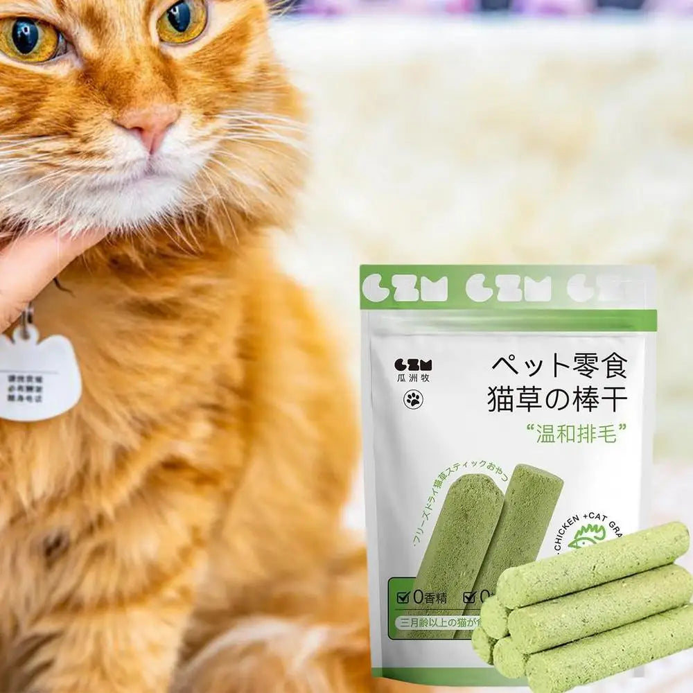 Cat Grass Stick Cat Grass Chewing Stick Natural Teeth Cleaner Removal Row Kitten Pet Snacks Teeth Caring for Kitten Mouth Health