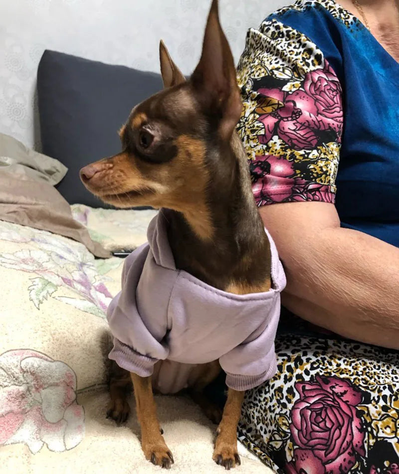 Winter Pet Doggy Clothing Leisure Small Dogs Hoodies Coat for Puppy Soft Warm Cat Dog Sweater Sweatshirt Teddy Chihuahua Clothes