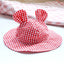 Pastoral Style Plaid Cat Hat Cute Ears Sunshade Cap for Dogs Summer Pet Headwear Unisex Outdoor Hats Chihuahua Dogs Accessories