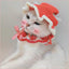 Winter Warm Costume Accessories for Cats Cosplay Funny Animal Flower Knitting Pet Dog Cap Adjustable Head Wear Pet Products