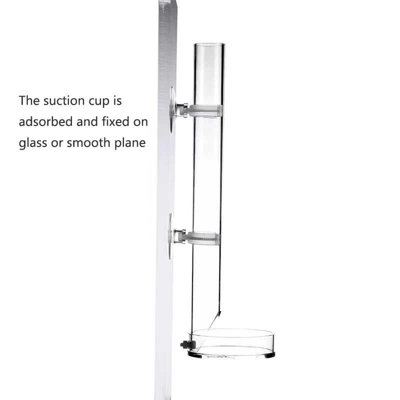 1Pcs Acrylic Aquarium Feeder Tube Dish Transparent Fish Tank Shrimp Snail Shrimp Food Feeder Bowl Aquarium Feeding Accessories