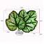1Pc Artificial Aquarium Leaf Plants Decoration Betta Fish Rest Spawning Ornamental Plant Betta Fish Play Relax Hide Leaf Hammock