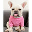 Dog Costume  Pet Clothes Crew Neck Korean Version Spring and Autumn Parent-child Wear Pure Cotton Four Colors Seven Sizes