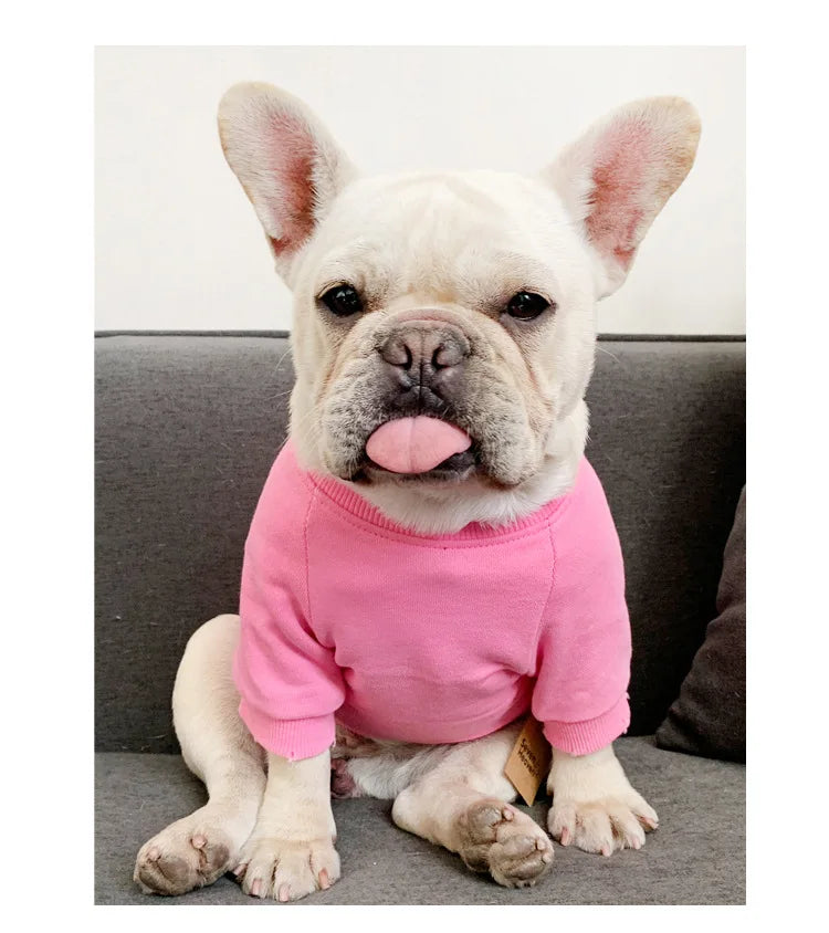 Dog Costume  Pet Clothes Crew Neck Korean Version Spring and Autumn Parent-child Wear Pure Cotton Four Colors Seven Sizes