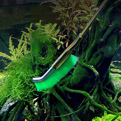 Steel Wire Brush Aquarium Algae Cleaning Brush Nylon Brush Aquarium Cleaner Fish Tank Stain Cleaning Tools Accessories