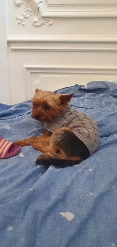 Warm Dog Clothes Knitted Clothes for Dogs Chihuahua Sweater for Small Dogs Winter Clothes for Sphinx Cat Dog Sweater for York