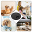 Pet Nail Scratcher Cat Nails Scratch Pad For Dog Treat Effective Dog Nail File Toy Feeder Nonirritating Dog Paws Scratch Board