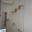 Wall Mounted Cat Perch Corner Platform With Felt Easy-to-Clean Cat Hammock Suit Cat Climbing Rope to Make Kitten Exercise Indoor