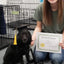 Pet Caps Dog Graduation Hats with Yellow Tassel Costumes for Dogs Cats Doctor Hat Holiday Party Apparel Dog Accessories Outfits
